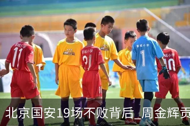 北京国安19场不败背后 周金辉贡献了什么