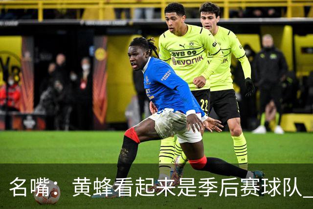 名嘴：黄蜂看起来是季后赛球队 米勒有望达到皮尔斯&双探花的级别