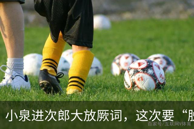 小泉进次郎大放厥词，这次要“脱胎换骨”，让世界不敢低估日本