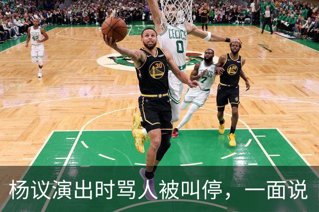 杨议演出时骂人被叫停，一面说“杨老五”是骂人，一面把“杨老五”和自己图像印到火腿肠上