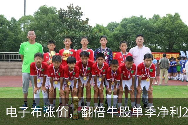 电子布涨价，翻倍牛股单季净利24亿创新高