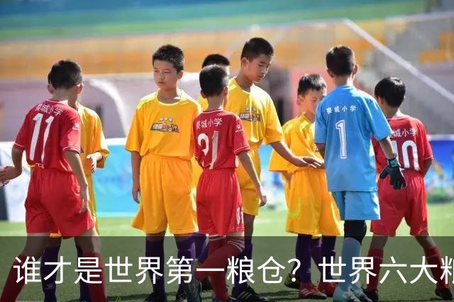谁才是世界第一粮仓？世界六大粮食生产国，都有谁？